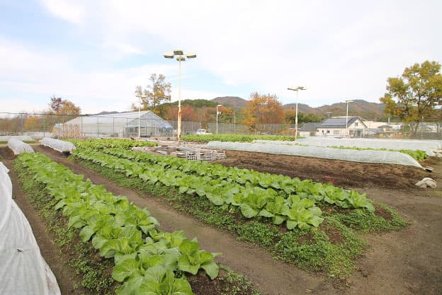 画像：けぶりかわ農園