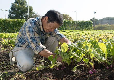 画像：高橋さん