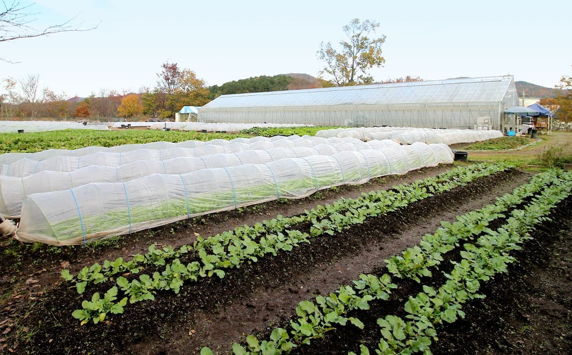 画像:けぶりかわ農園