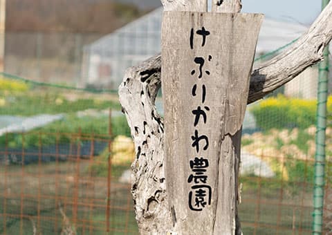 画像:けぶりかわ農園