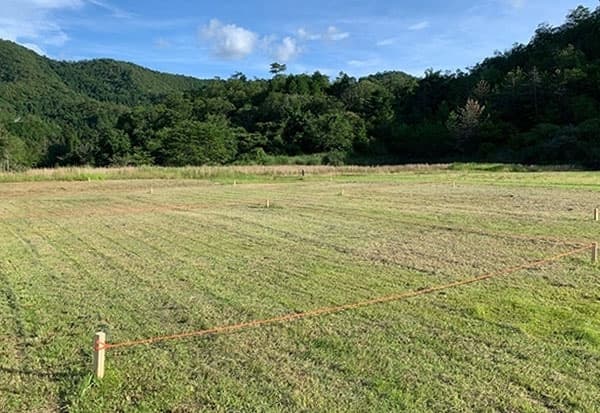 キャンプサイト