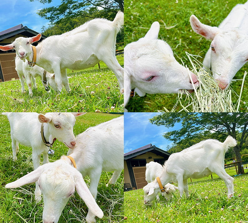 けぶりかわ農園 イメージ