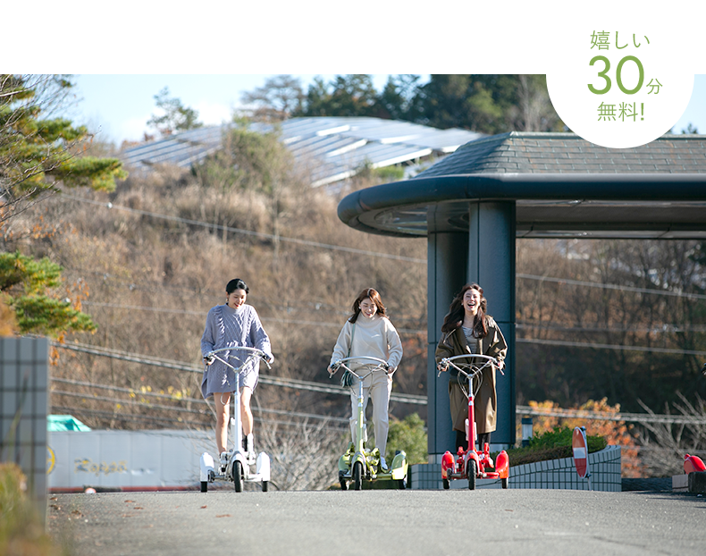 ウォーキングバイシクル イメージ
