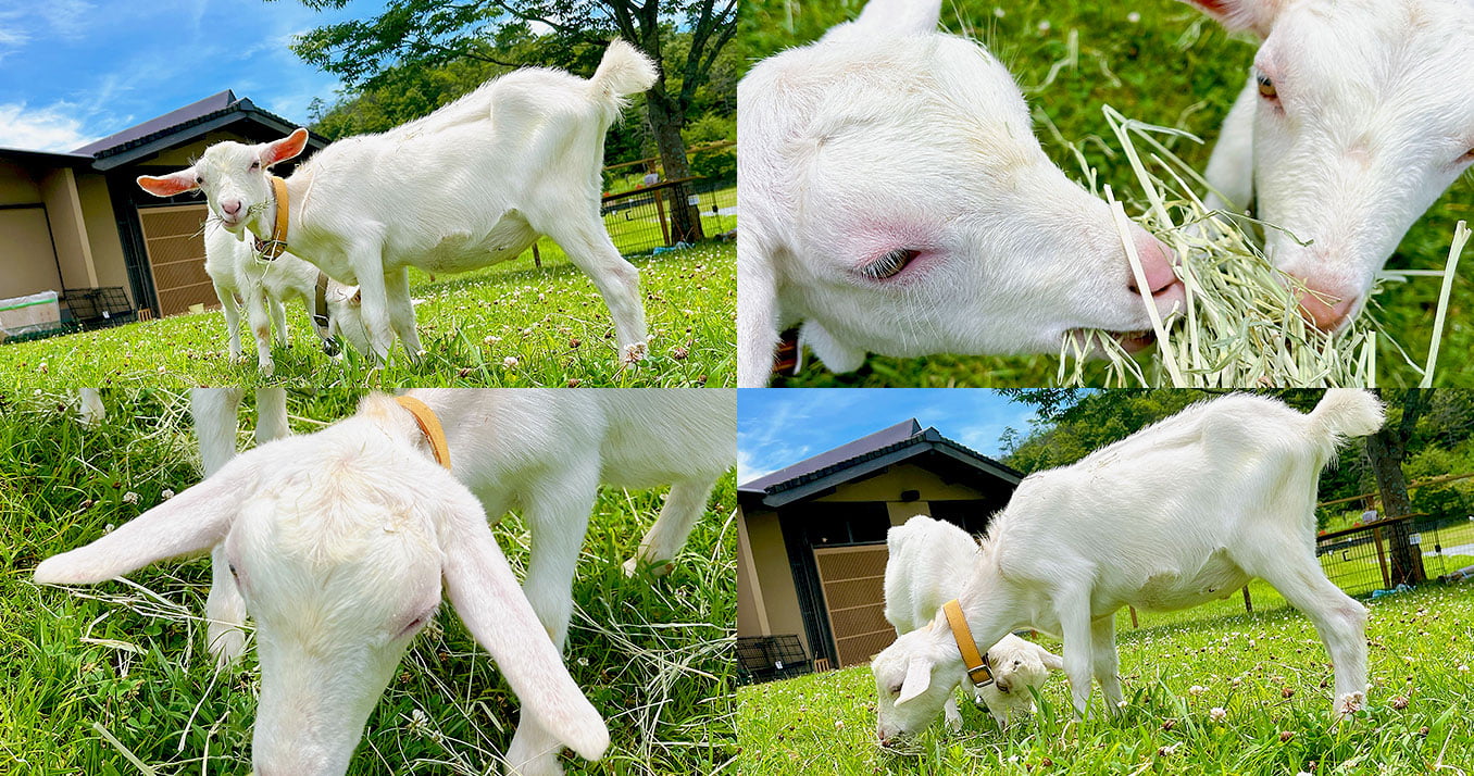 けぶりかわ農園 イメージ